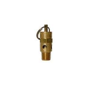   relief Valve 100 PSI American made FREE SHIPPING: Home Improvement