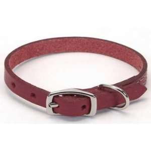   Pet Products Leather Oak Tan Dog Collar 1X22 Red: Pet Supplies