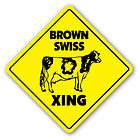 brown swiss cow  