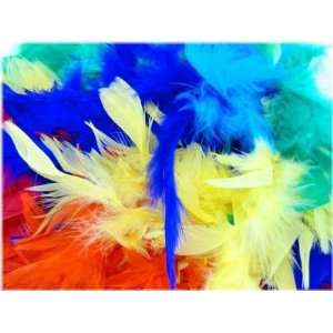   Rainbow Mixed Color 6 Foot 60 Gram Feather Boas (Receive 6 Per Order