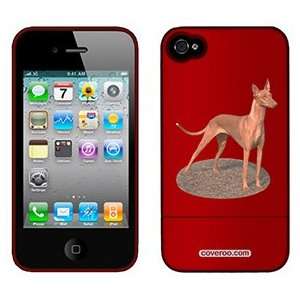  Pharaoh Hound on Verizon iPhone 4 Case by Coveroo  