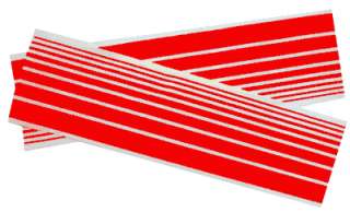 Pinewood Derby Car Racing Stripes ORANGE  