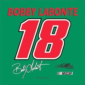  Bobby Labonte #18   Seat Cushion/Tote: Sports & Outdoors