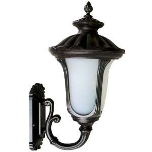   Tori Collection 11 Inch Fluorescent Exterior Sconce Black Frame with