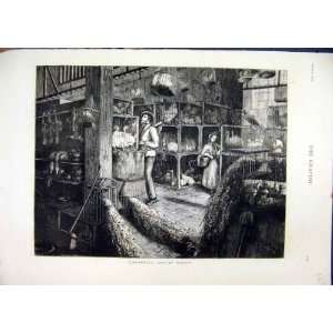   1876 Leadenhall Poultry Market Birds Cages Sale Print: Home & Kitchen