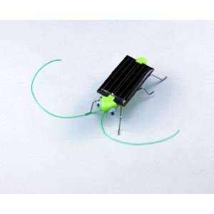    100pcs/l solar insect solar powered grasshopper +: Toys & Games