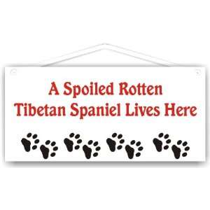  A Spoiled Rotten Tibetan Spaniel Lives Here: Everything 