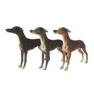  Greyhound Christmas Ornaments Set of 3: Sports & Outdoors