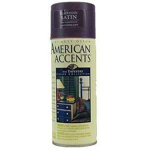  Spray Paint American Accents B: Home Improvement