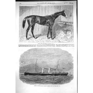  1864 Blair Athol Derby Horse Racing Great Eastern Railway 