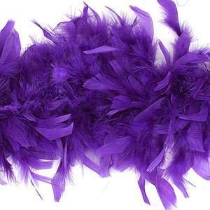  Princess Party Chandelle Feather Boas: Everything Else