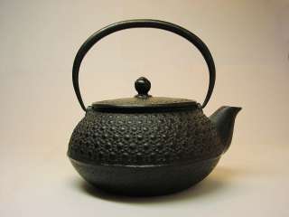 Old Japanese Cast Iron Teapot Iwachu Nambu Tetsubin Kyusu, Early 