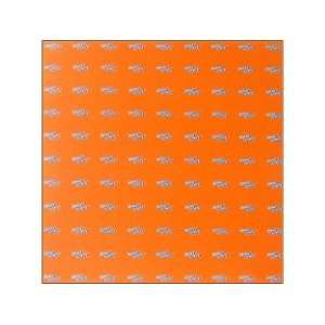   Solution Paper 12x 12 Boise St Orange 25 Pack 