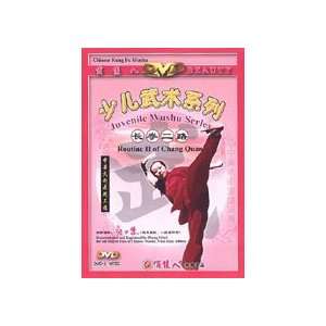  Juvenile Wushu Long Style Boxing DVD 2