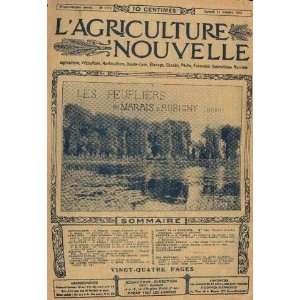   11 octobre les peupliers du marais dAubigny (nord) Collectif Books