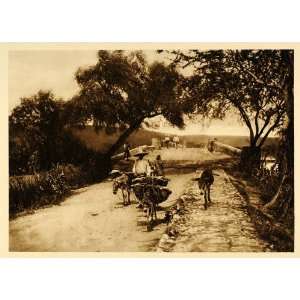   Mexican Plateau Road Rural Mexico Hugo Brehme   Original Photogravure