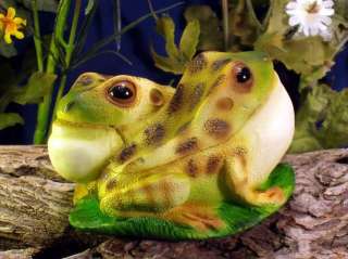 Frog Trinket Surprise Jewelry Box Keepsake Love NEW #4  
