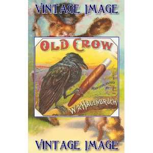   Window Cling 6 inch x 4 inch (14 x 10cm) Bird Old Crow 2 Vintage Image