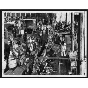   days catch at the Fulton Fish Market,Bronx,NY,1939