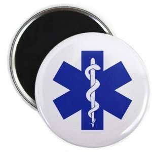   Medical Alert Symbol Heroes 2.25 Inch Fridge Magnet