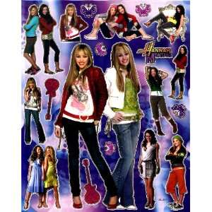  Hannah Montana MILEY CYRUS Sticker Sheet BL291: Everything 