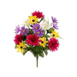   Dahlia/Daisy/Butterfly Mixed Bush   Set of 2 bushes