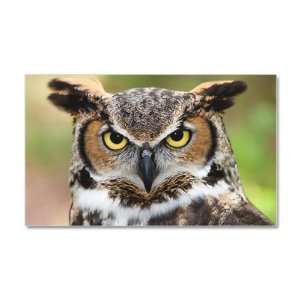    22 x 14 Wall Vinyl Sticker Great Horned Owl 