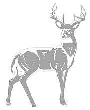 Buck~Deer~Sudden Shadows Peel & Stick Wall Art Mural  