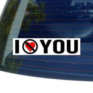  I Hate Anti YOU   Window Bumper Sticker: Automotive