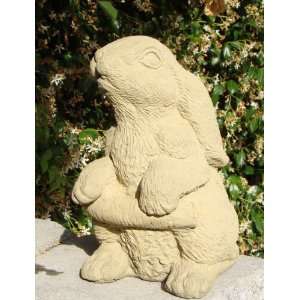  Exclusive Rock 8409 O Rabbit with Carrot: Patio, Lawn 