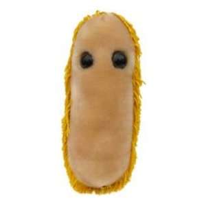  Giant microbes Stomach Ache (Shigella dysenteriae) Petri 