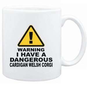   DANGEROUS Cardigan Welsh Corgi  Dogs 