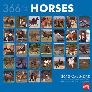  365 Days of Horses 2012 Wall Calendar: Office Products