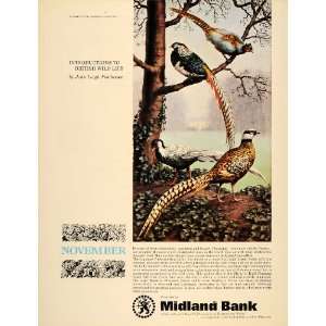  1965 Ad Midland Bank Leigh Pemberton Pheasant Game Bird 