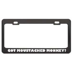 Got Moustached Monkey? Animals Pets Black Metal License Plate Frame 