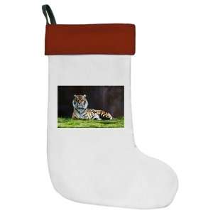  Christmas Stocking Bengal Tiger Stare HD 