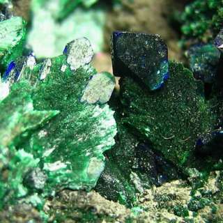 large AZURITE crystal covered by MALACHITE  AZ139  