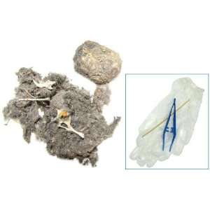  Pkg (2) Owl Pellet Kit with Tweezers, Pointing Stick and 8 Page 
