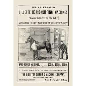   Gillette Horse Clipping Machines 20x30 poster