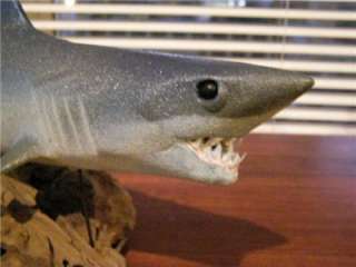 NEW Mako Shark Mount  REAL Teeth on driftwood Great  