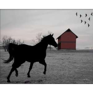 Linda Shier Kentucky Horse Silhouette 13 x 19 Glossy Print with Single 