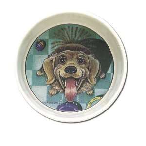  Patterson Feed Me Dog Bowl: Pet Supplies
