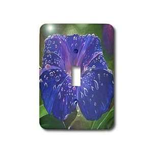   , september birth flower   Light Switch Covers   single toggle switch