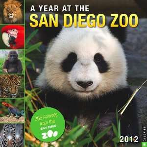  A Year at the San Diego Zoo 2012 Wall Calendar: Office 