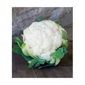  Early Snowball Cauliflower 4 Plants   Easy to Grow Patio 