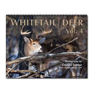  Whitetail Deer Vol. 4 Animal Wall Calendar by  