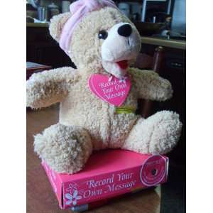  Recordable Message Plush Bear by Dan Dee Toys & Games