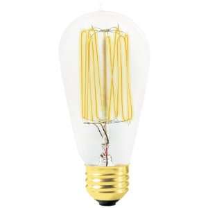  40 Watt Medium Base S16 Carbon Filament Edison Bulb (1910 