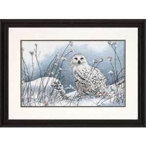   Northwind Owl 14 x 9 Counted Cross Stitch Kit: Home & Kitchen