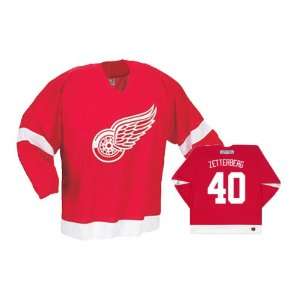 ZETTERBERG #40 Detroit Red Wings CCM 550 Series Replica NHL Hockey 